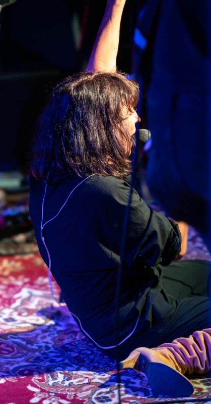 Angela Baraldi in concerto
