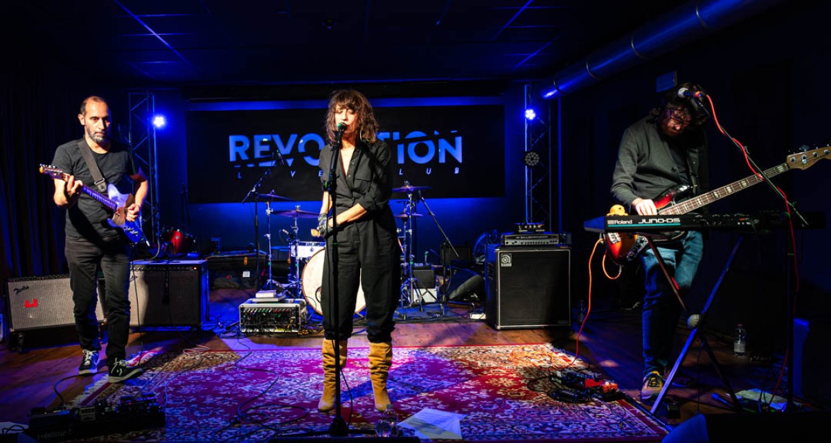 Angela Baraldi in concerto