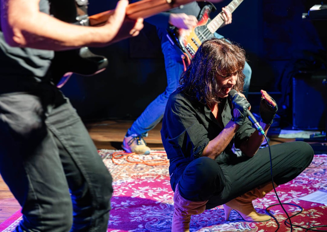 Angela Baraldi in concerto