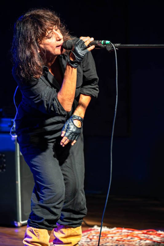 Angela Baraldi in concerto